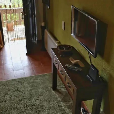 Banyan Tree * Óbidos