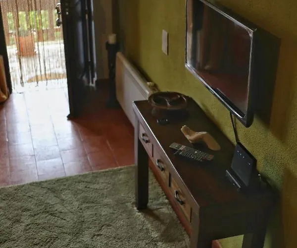 Banyan Tree * 奥比多斯