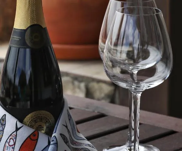 Banyan Tree 奥比多斯